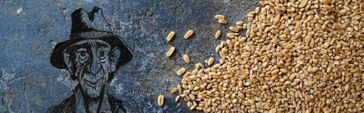 Grain
