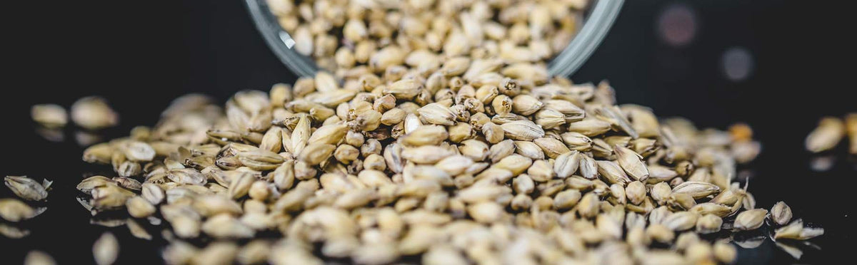 500g Grain Packs