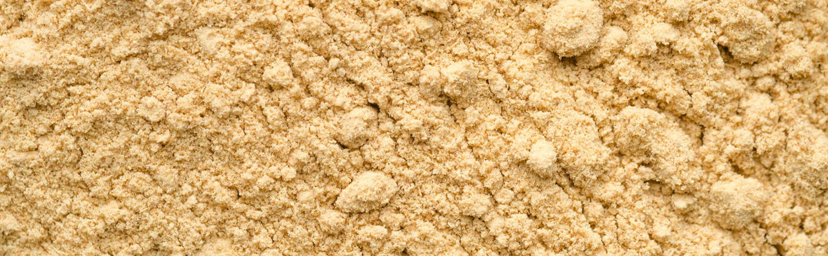 Beer Yeast