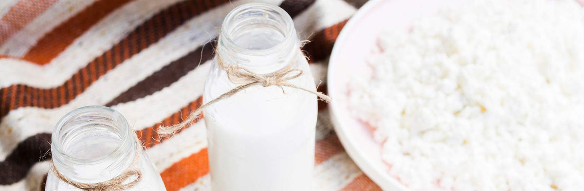 Yoghurt  and Kefir