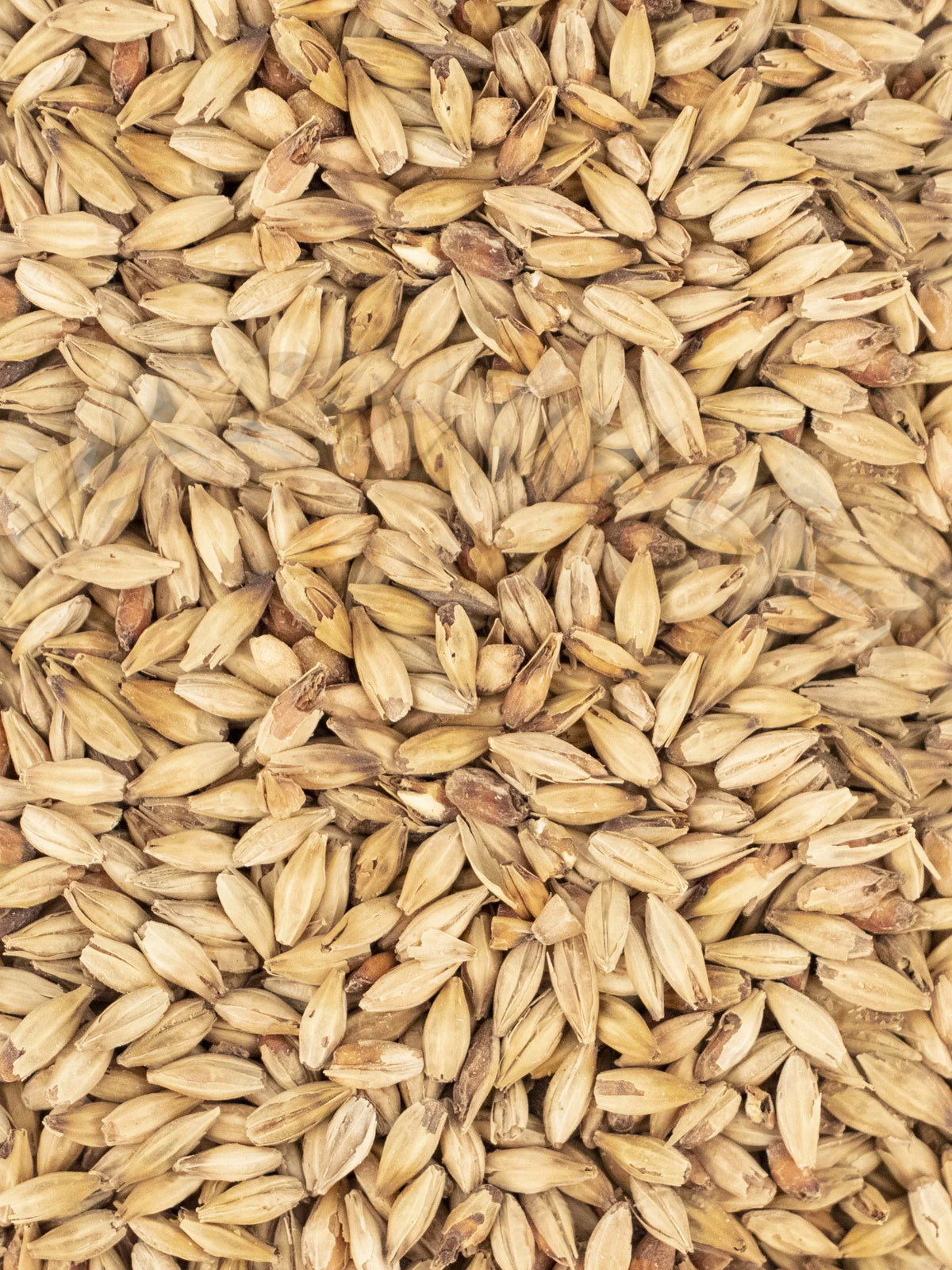 Premium ALE Grain - 4kg - Coopers