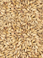 Caraamber® - 500g - Weyermann