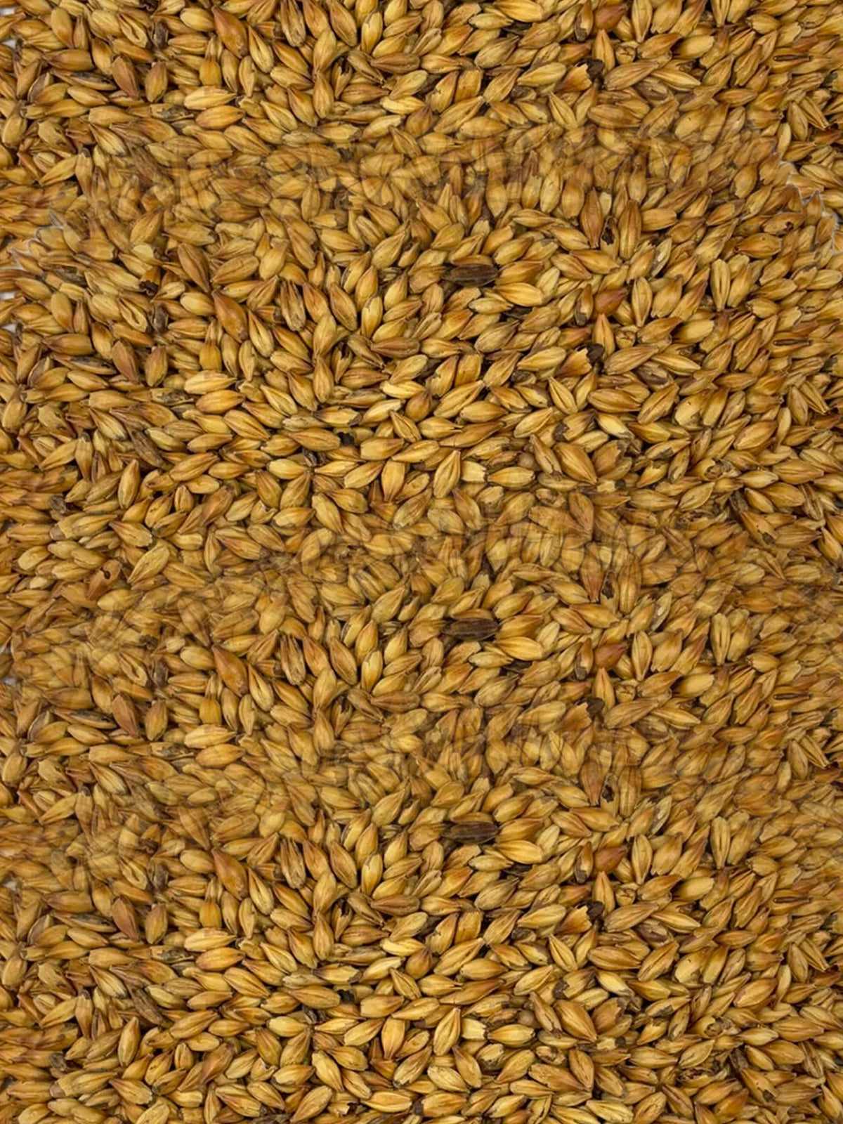 Caramunich® III - 500g - Weyermann