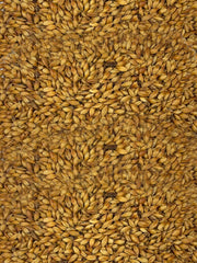 Caramunich® II - 500g - Weyermann