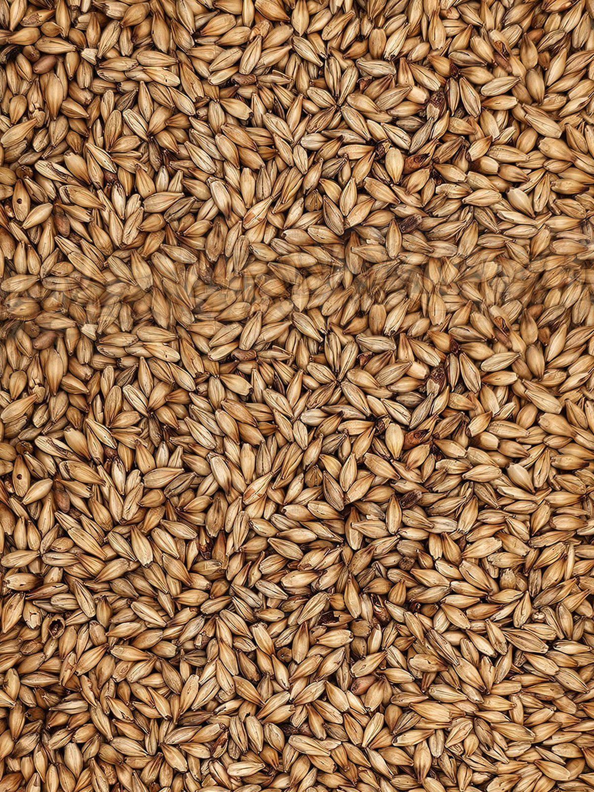 Carared® - 500g - Weyermann