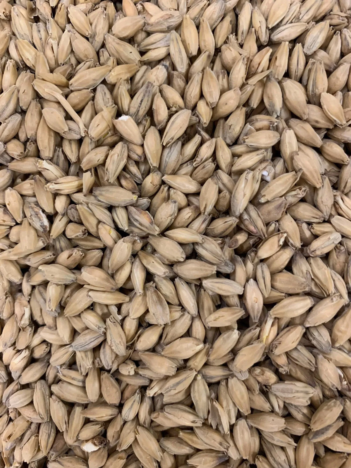 Beech Smoked Grain - 500g - Weyermann