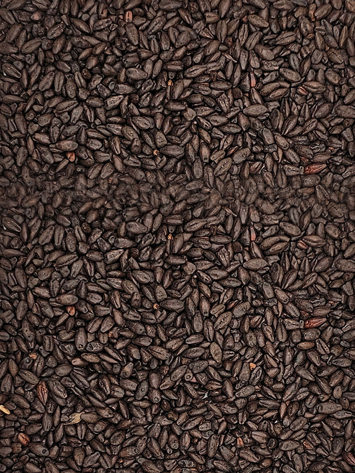 Black Grain - 500g
