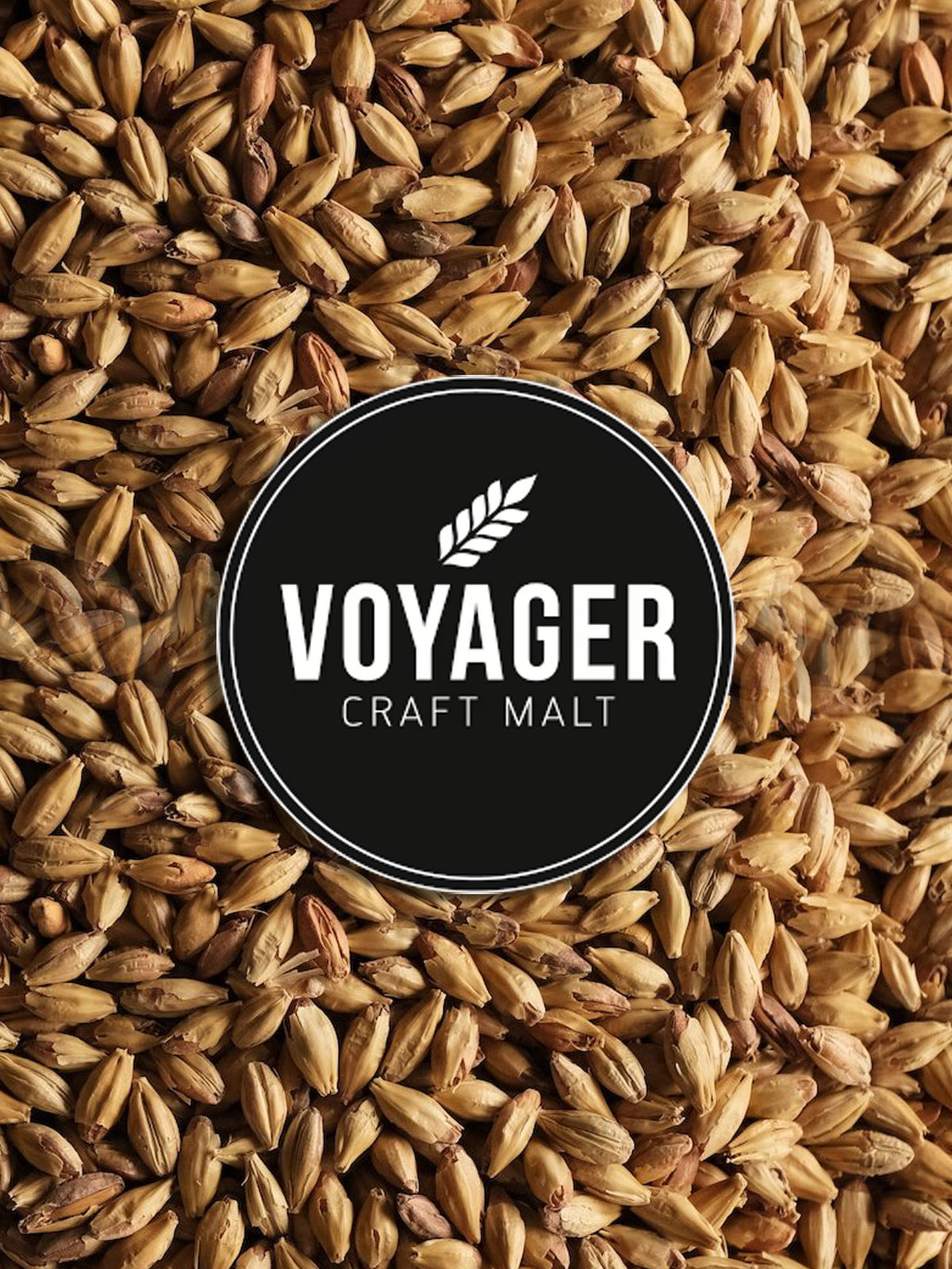 Biscuit Malt - 500g - Voyager