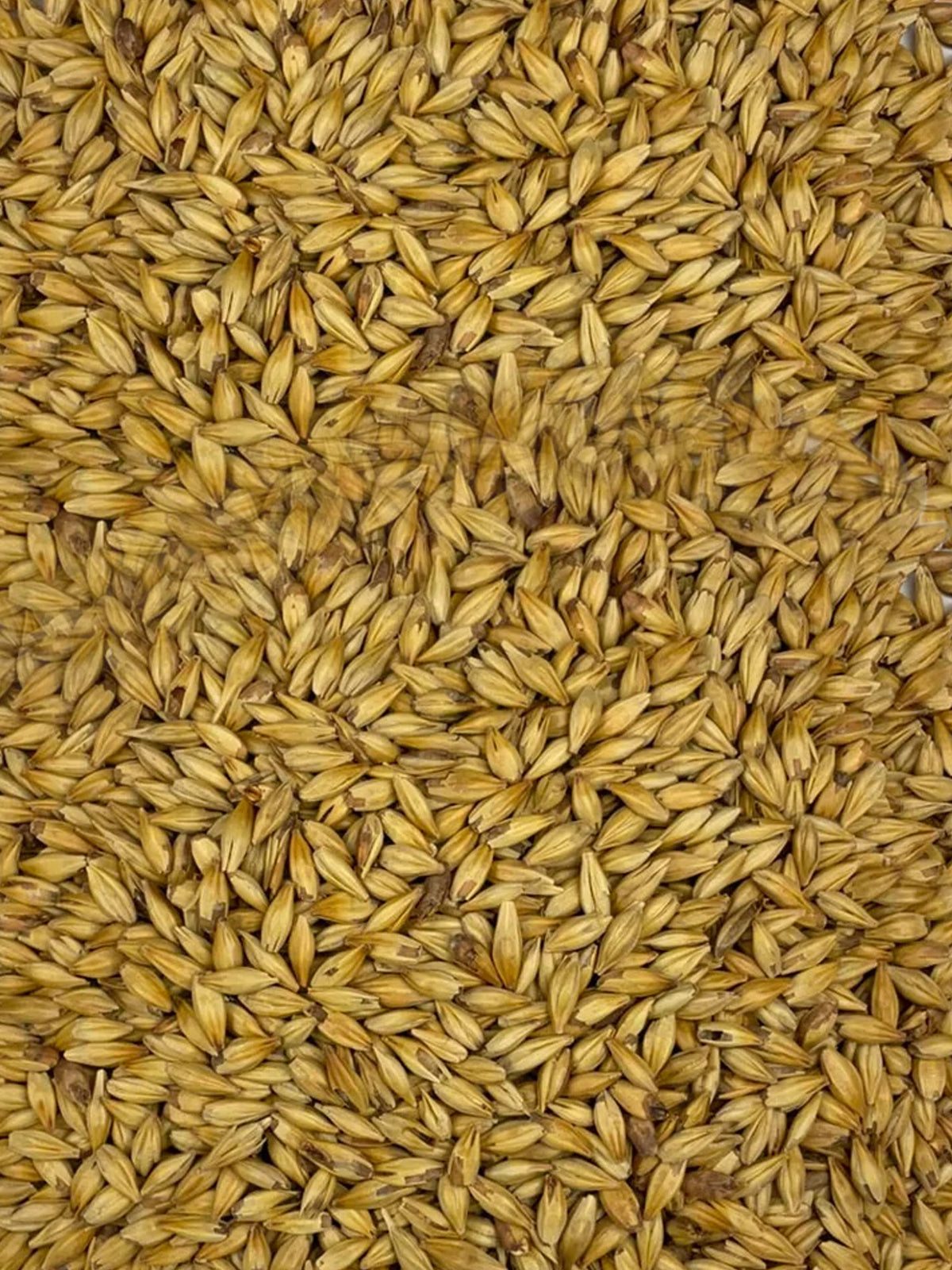 Carahell® - 500g - Weyermann