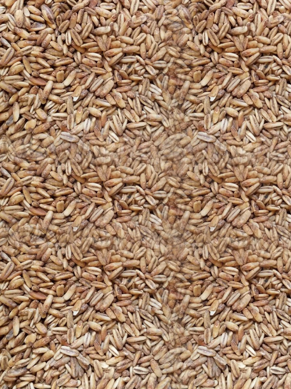 Golden Naked Oats - 500g - Simpsons