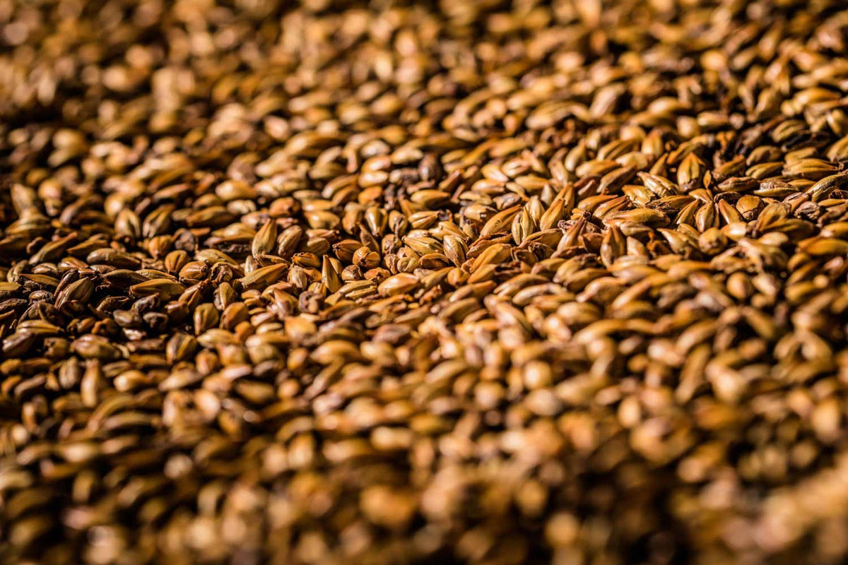 Country Brewer