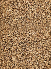Light Munich Grain - 1kg