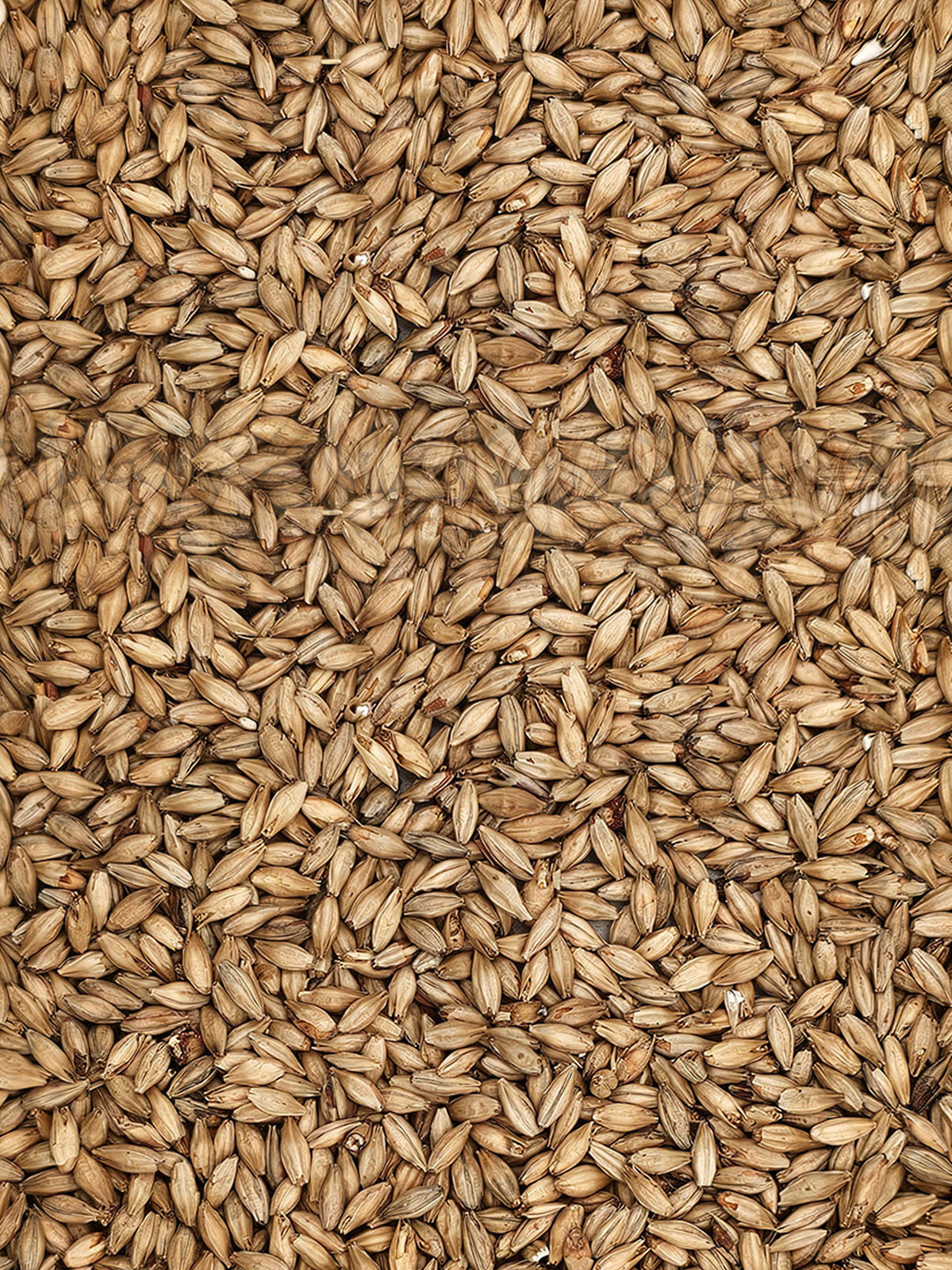 Light Munich Grain - 4kg