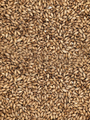 Maris Otter - 4kg - Simpsons