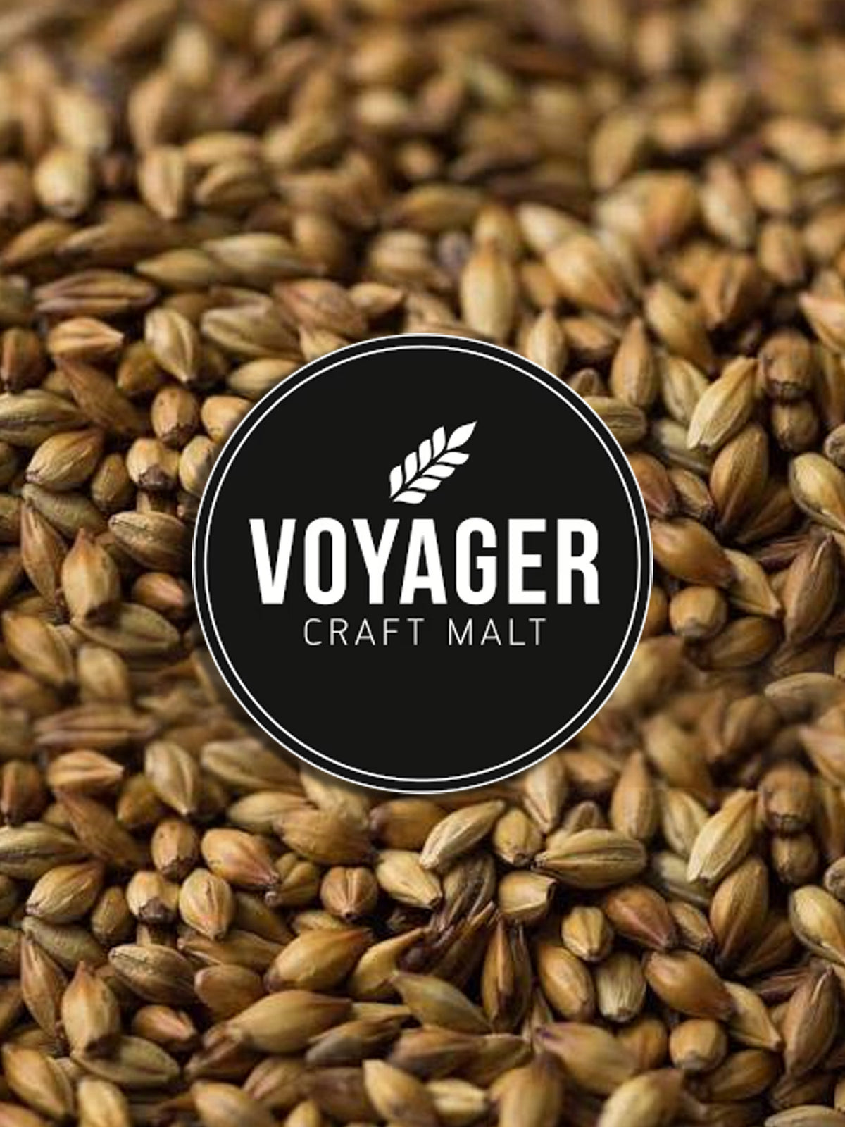 Melanoidin - 150g - Voyager Voodoo