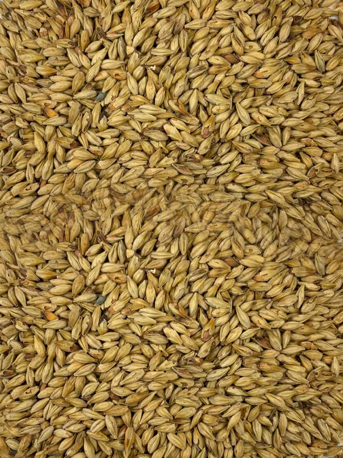 Grain