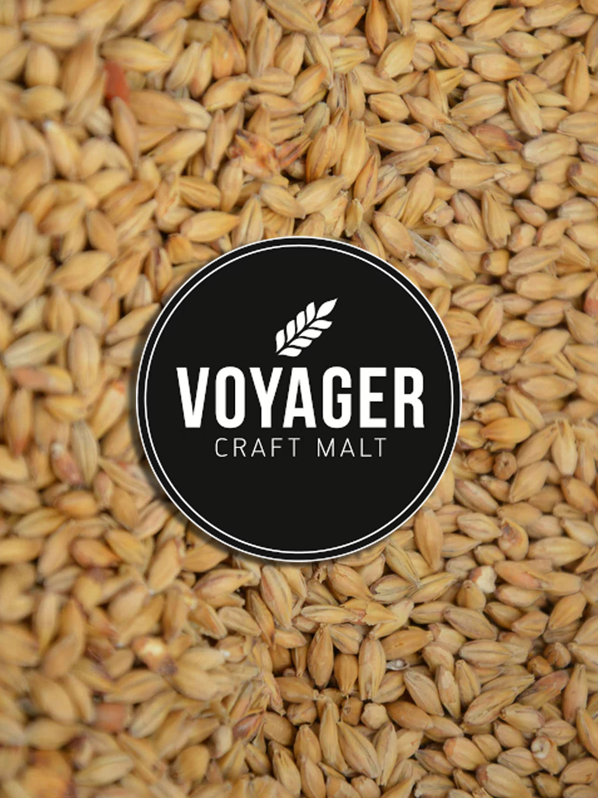 Pale - 500g - Voyager Compass