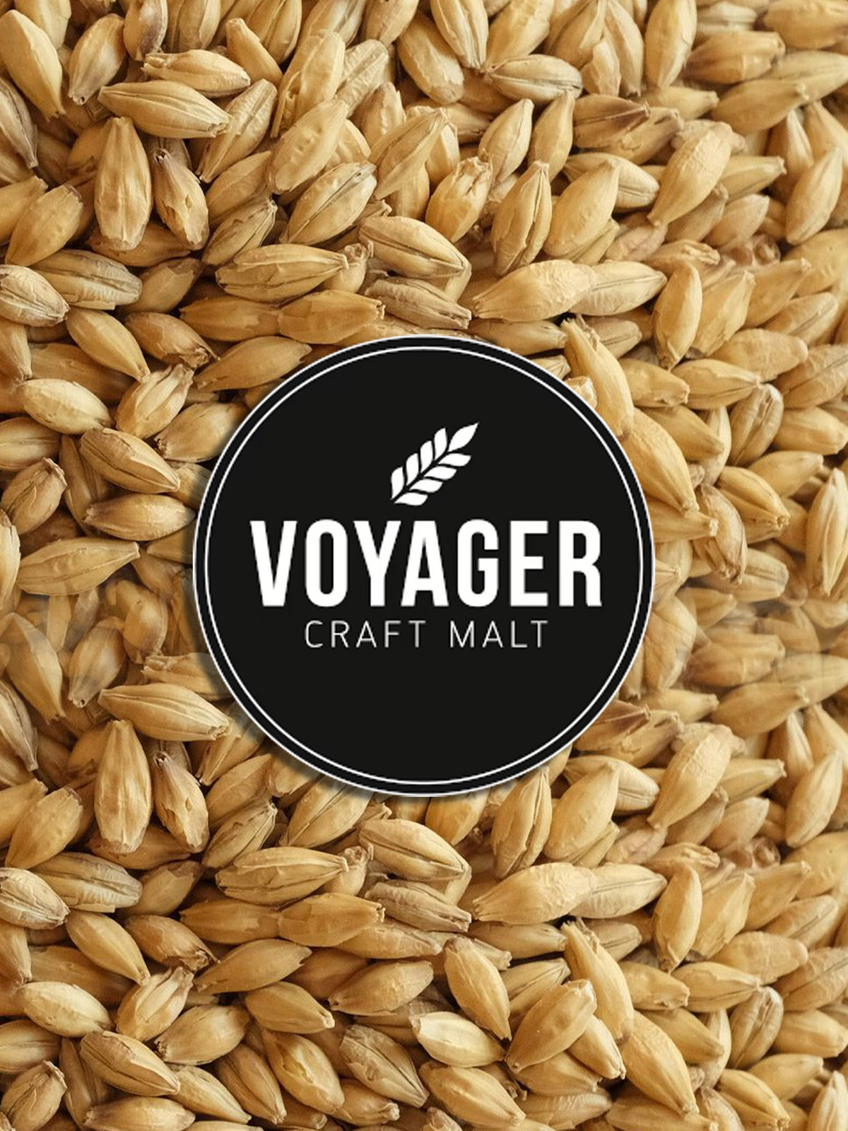 Pilsner / Lager - 25kg - Voyager Atlas