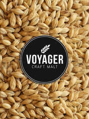 Pilsner / Lager - 500g - Voyager Atlas