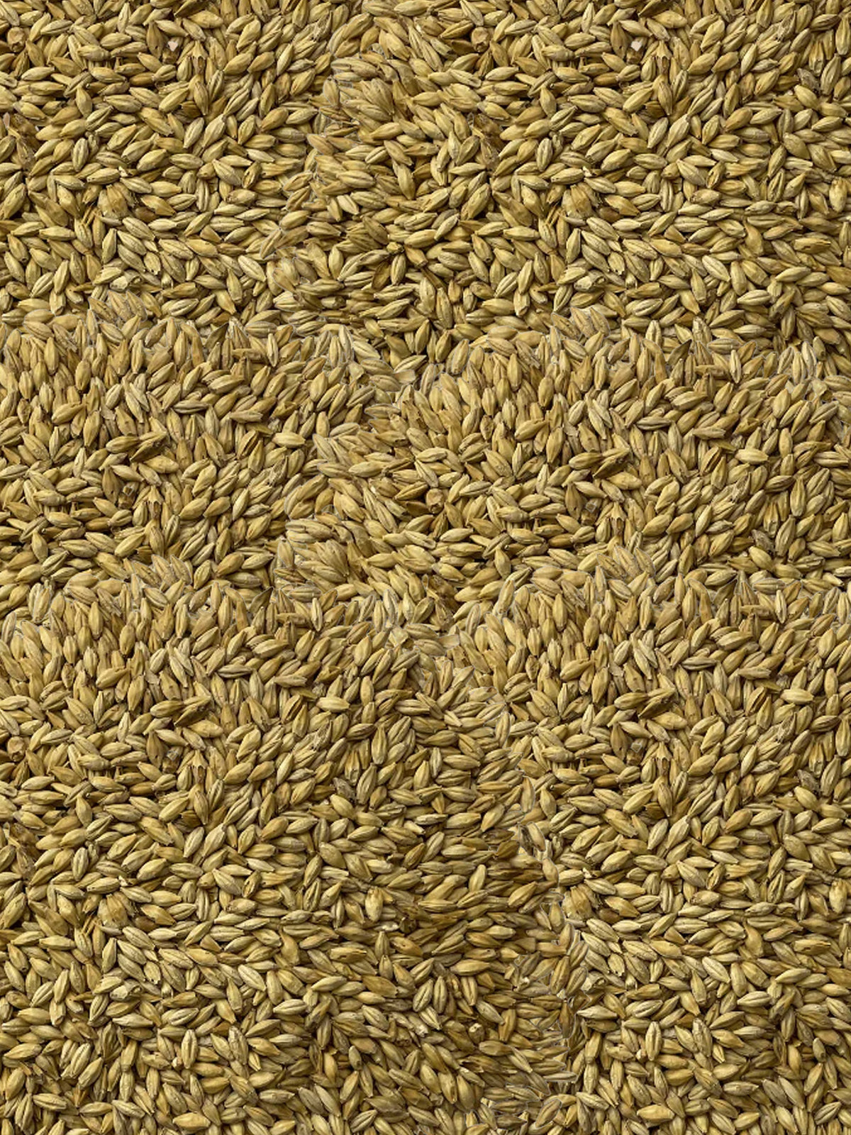 Red X Grain - 1kg - Bestmaltz