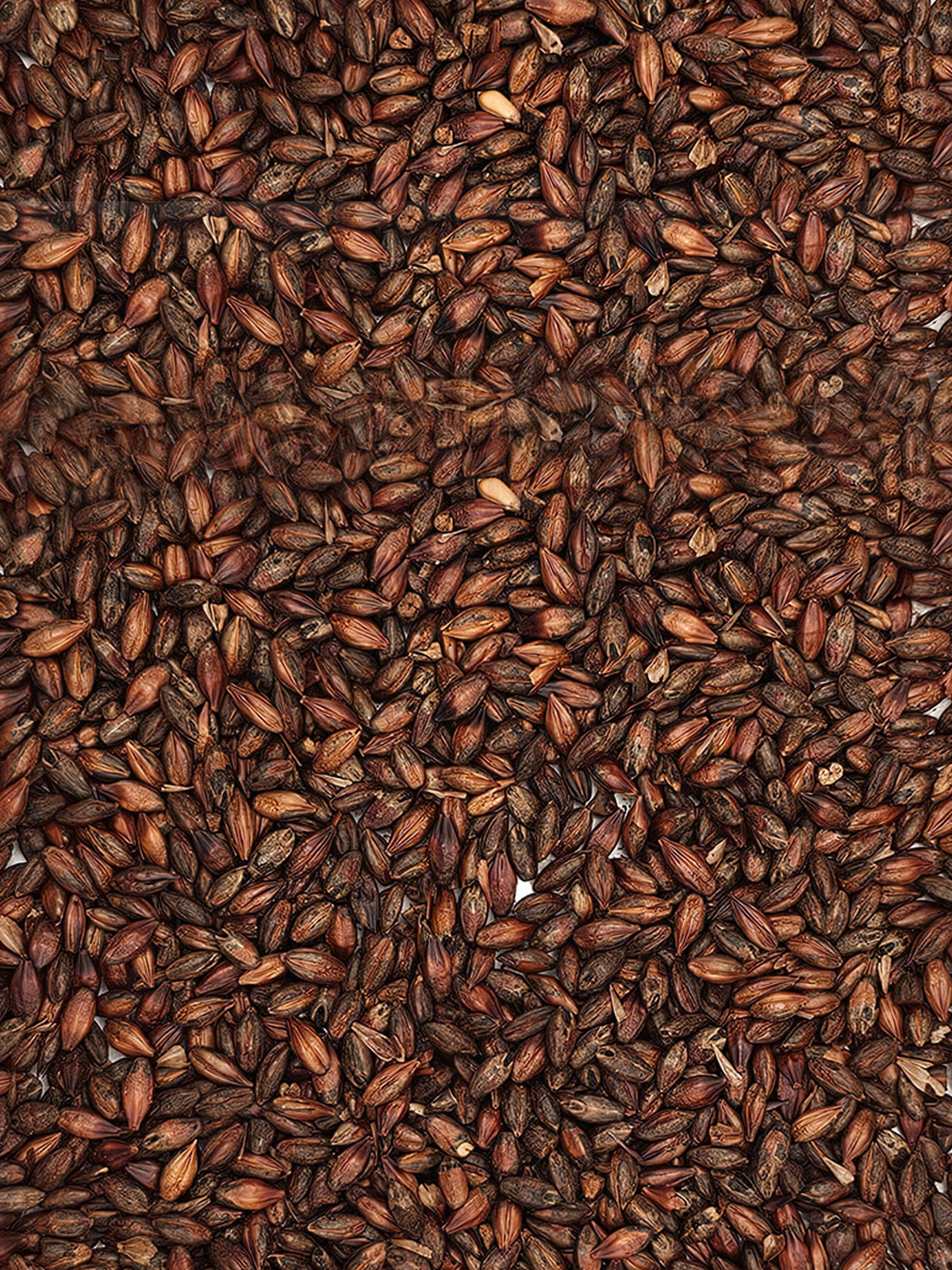 Roasted Barley - 500g