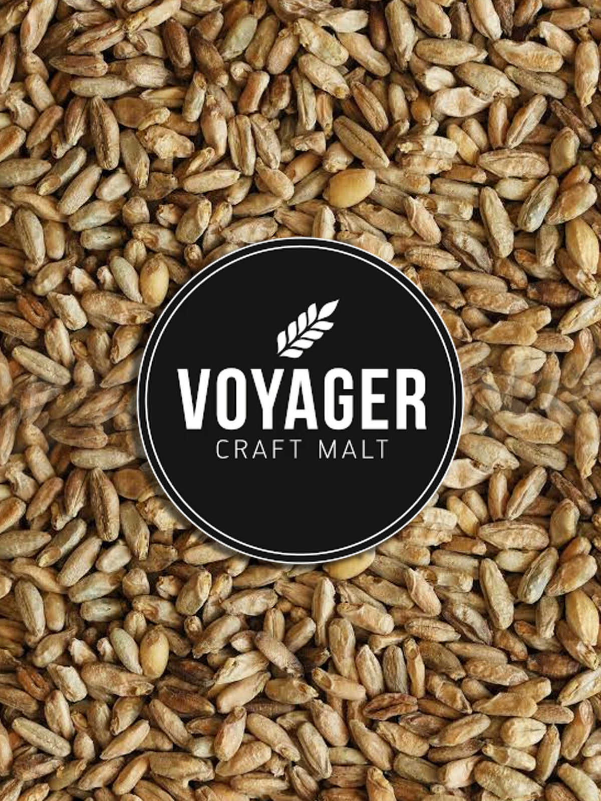 Rye Grain - 500g - Voyager Vampire