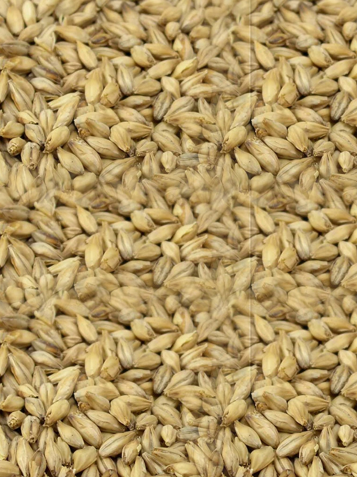 Smoked Grain - 1kg - Weyermann