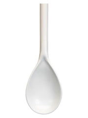 Long Handled Spoon