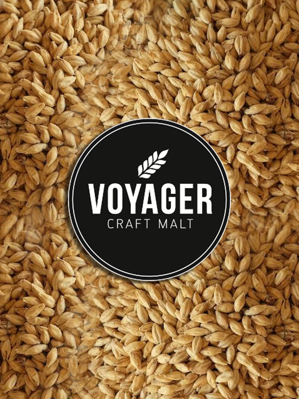 Veloria - 25kg - Voyager