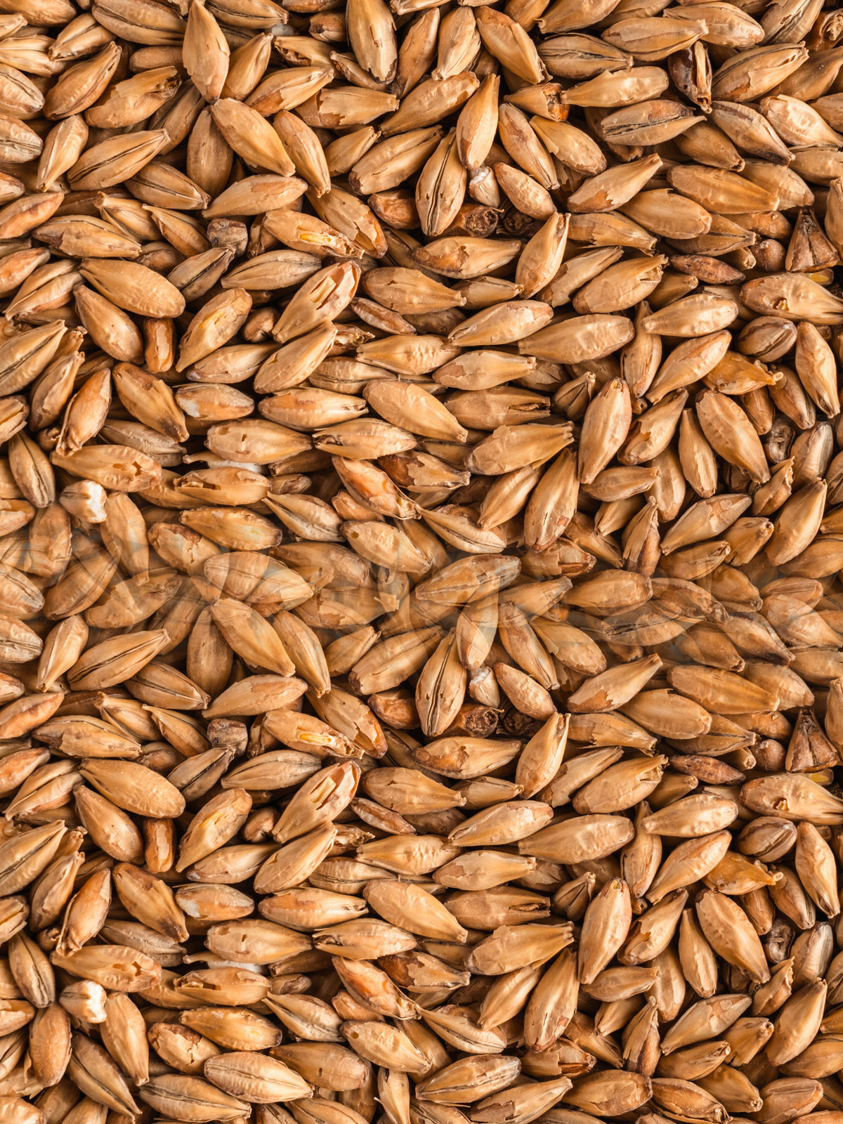 Vienna Grain - 4kg