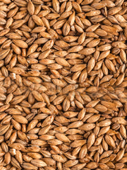 Vienna Grain - 4kg