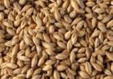 Increases mash efficiency, improves flavour stability, fullness and provides a deep, enhanced red colour to Bocks, Dunkels, Browns, Reds and Amber Ales.